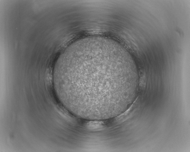 X0000115400179200911171525