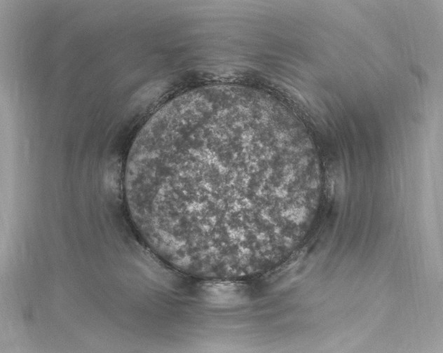 X0000115400181200911171525
