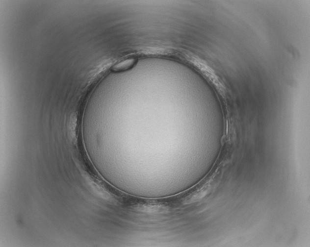 X0000115400201200911171524