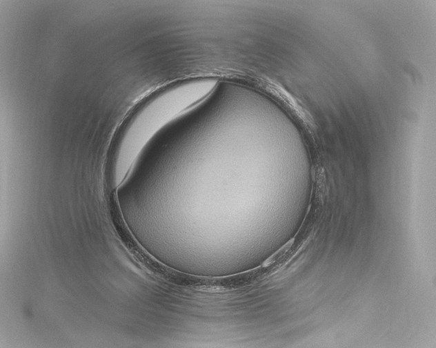 X0000115400203200911171524