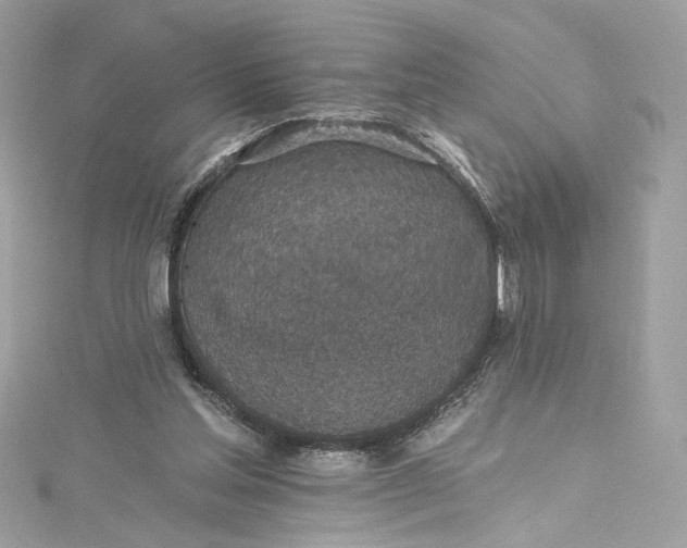 X0000115400205200911171524