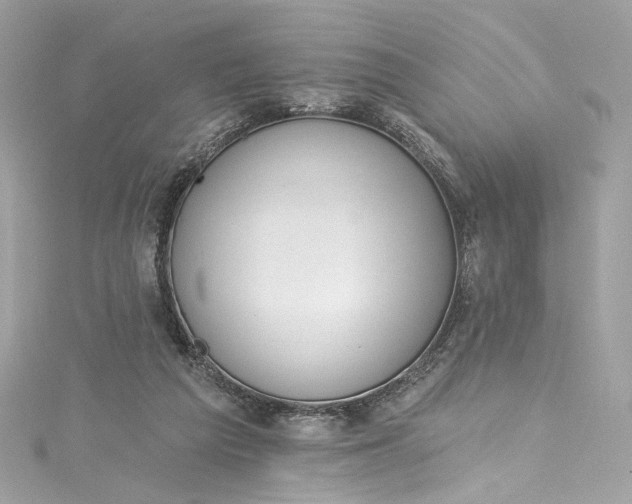 X0000115400209200911171524