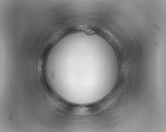 X0000115400217200911171524