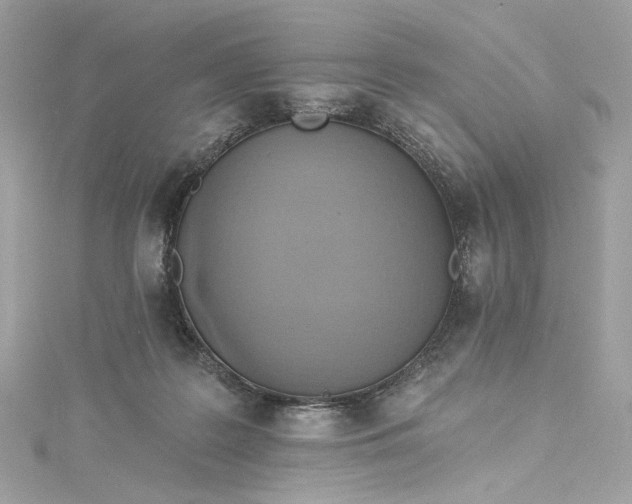 X0000115400219200911171524
