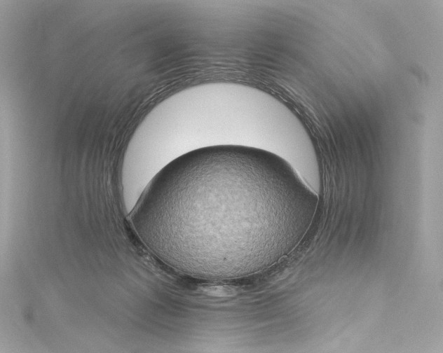 X0000115400221200911171524