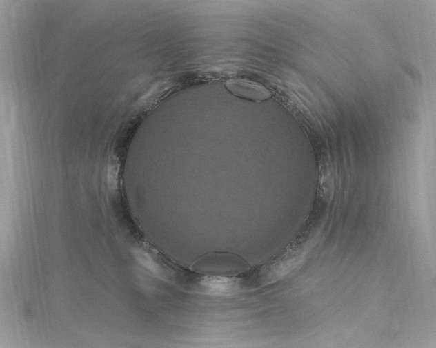 X0000115400231200911171524