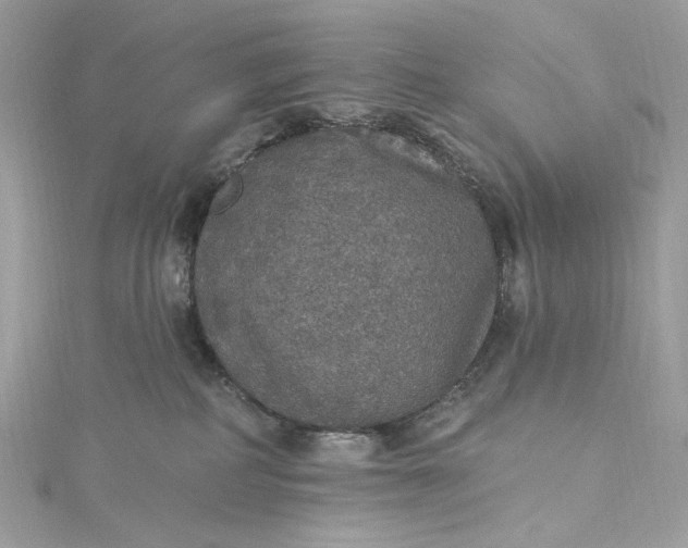 X0000115400234200911171524