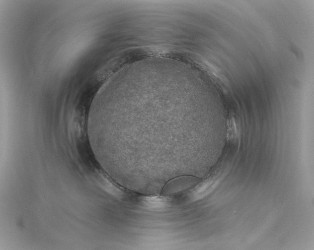 X0000115400238200911171524