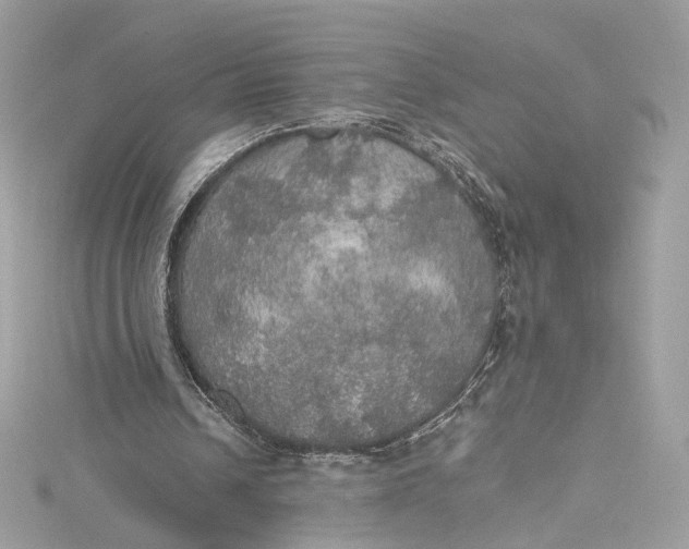 X0000115400242200911171523