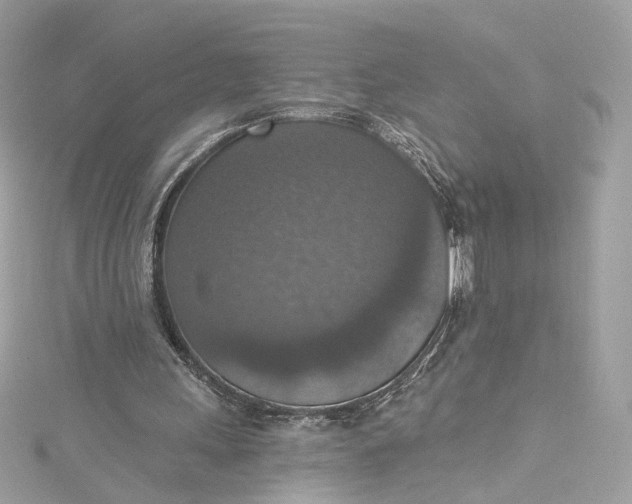 X0000115400243200911171523