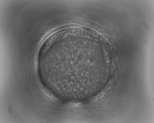 X0000115400247200911171523