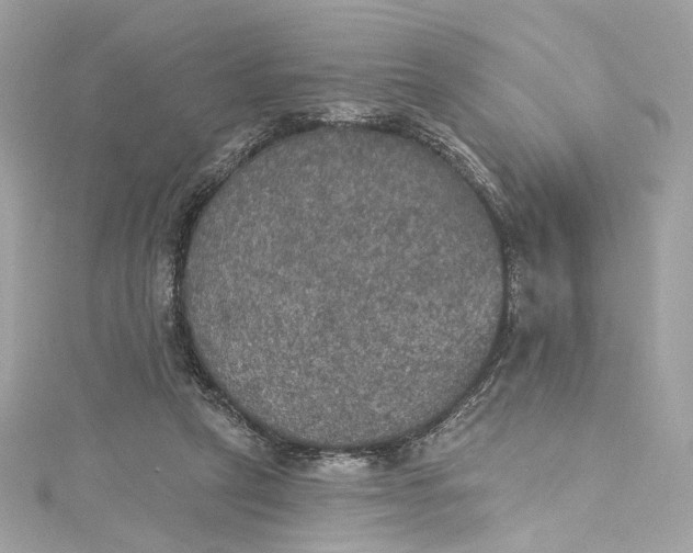 X0000115400257200911171523