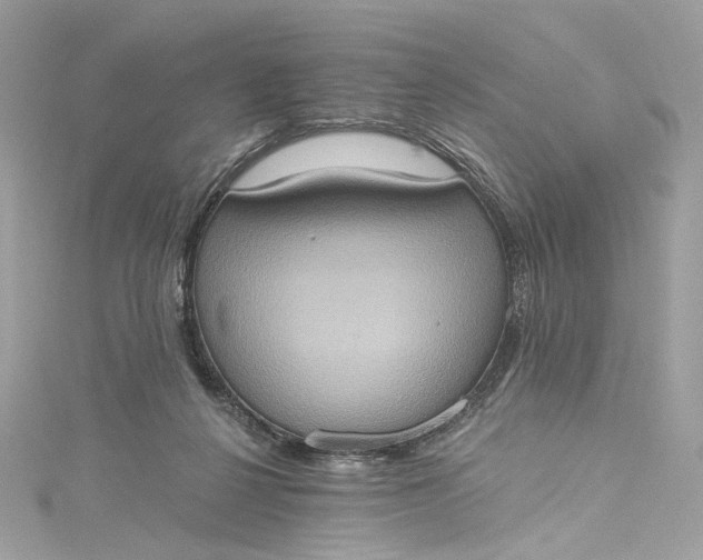 X0000115400264200911171524