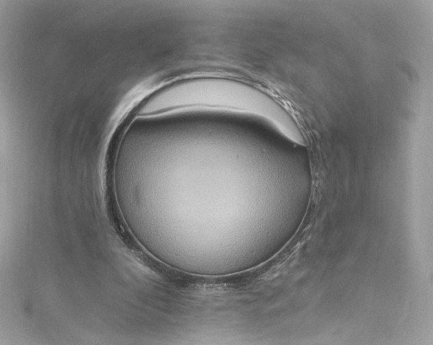 X0000115400296200911171523