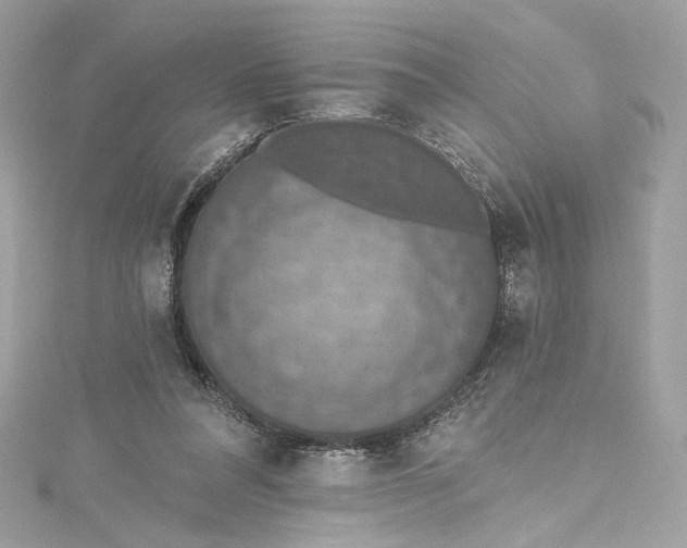 X0000115400304200911171523