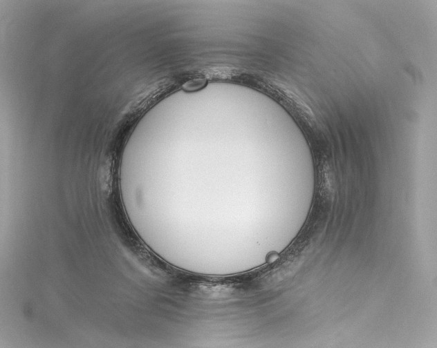 X0000115400311200911171523