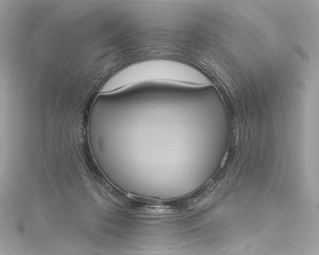 X0000115400316200911171523