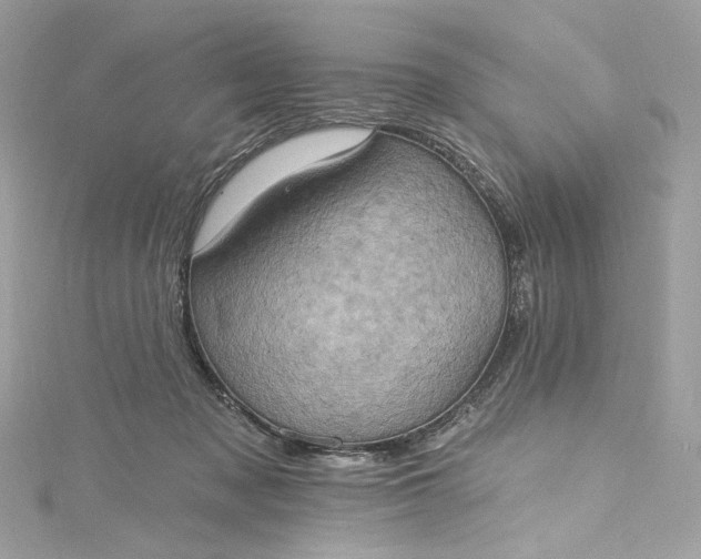 X0000115400317200911171523