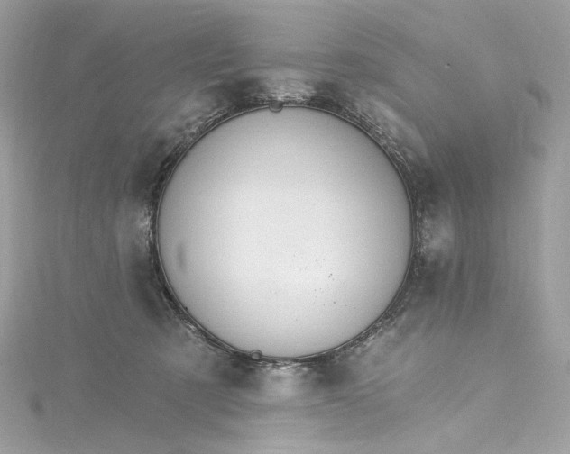 X0000115400321200911171523