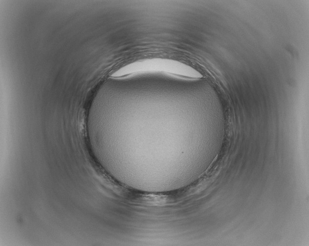 X0000115400328200911171523