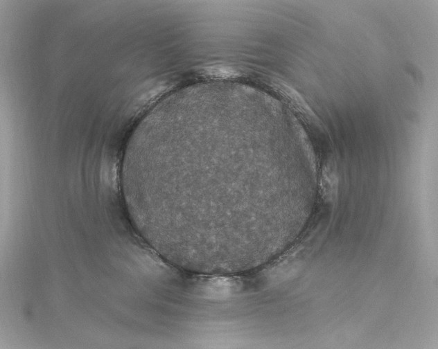 X0000115400330200911171523