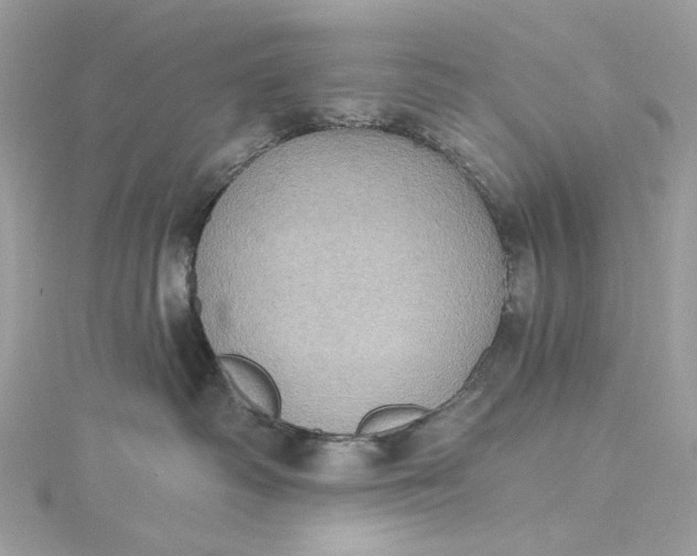 X0000115400334200911171523