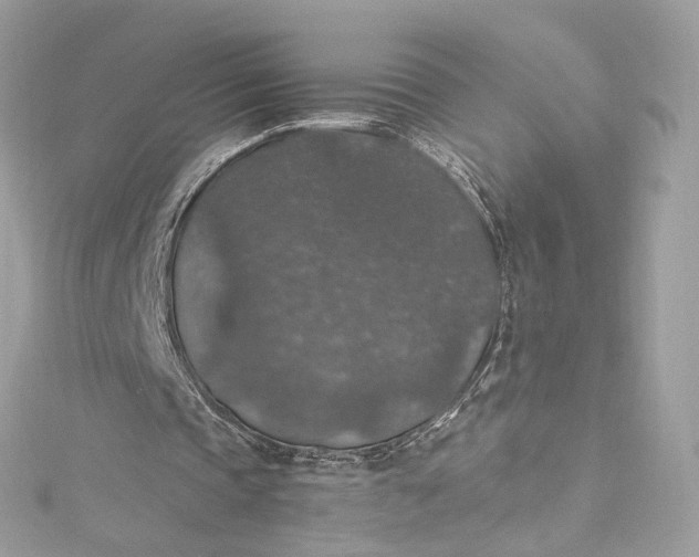 X0000115400337200911171522