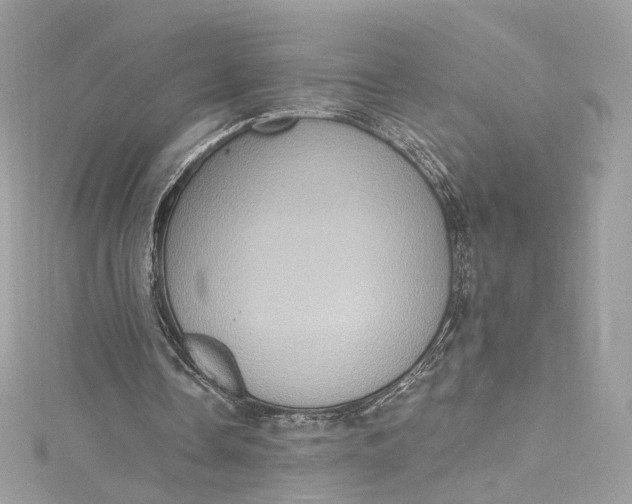 X0000115400338200911171522