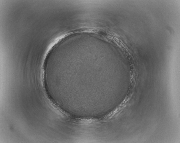 X0000115400342200911171522