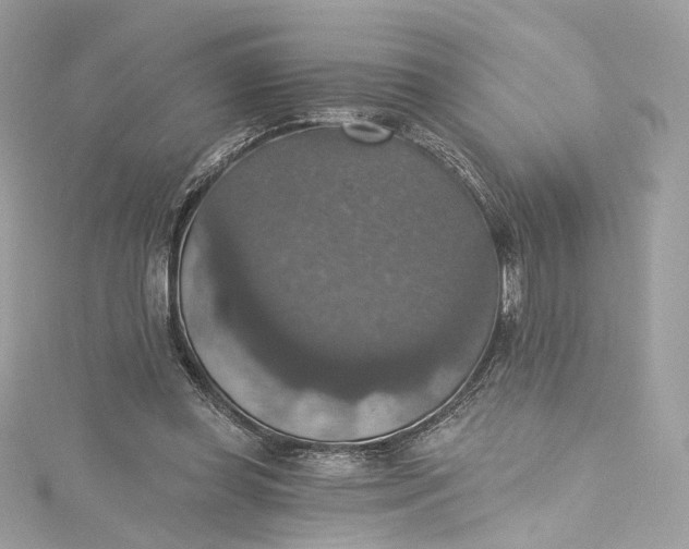 X0000115400349200911171522