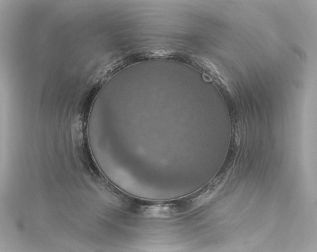 X0000115400366200911171522