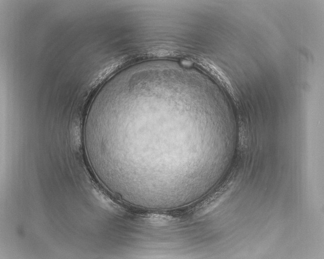 X0000115400393200911171522