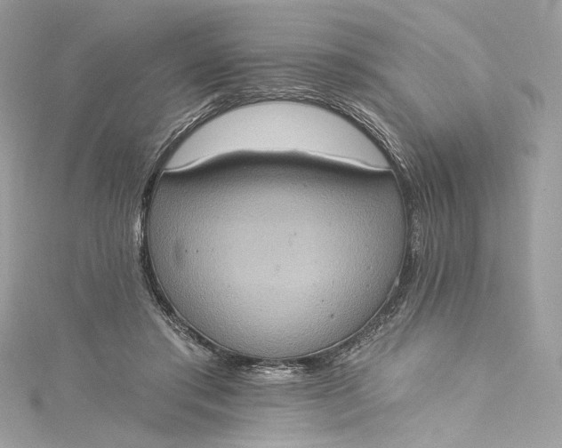 X0000115400405200911171522