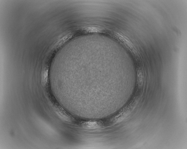 X0000115400406200911171522