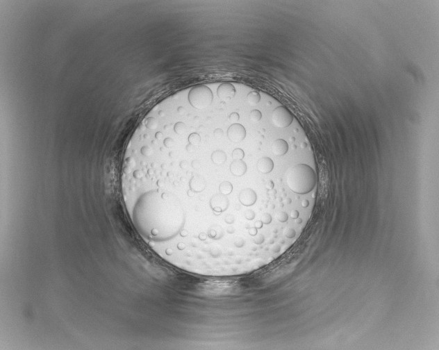 X0000115400418200911171522