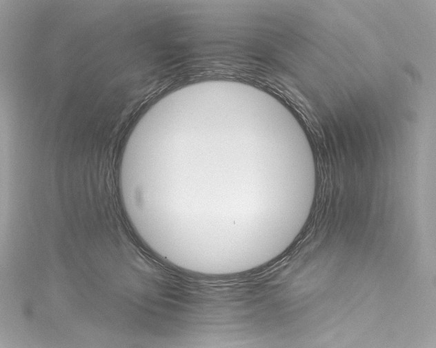 X0000115400419200911171522