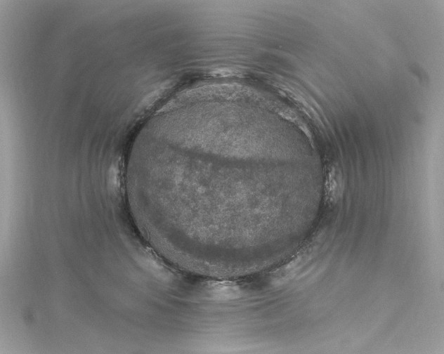X0000115400424200911171522