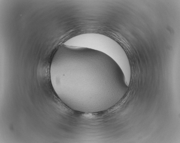 X0000115400425200911171521