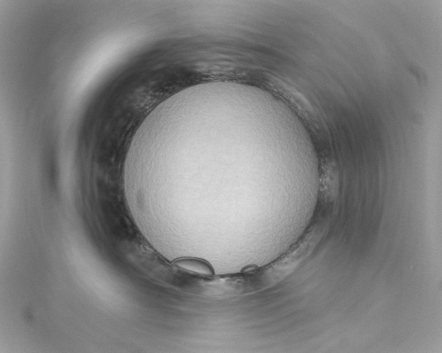 X0000115400430200911171521
