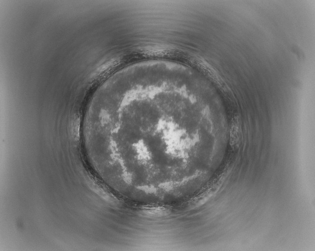 X0000115400454200911171521