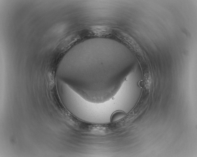 X0000115400471200911171521