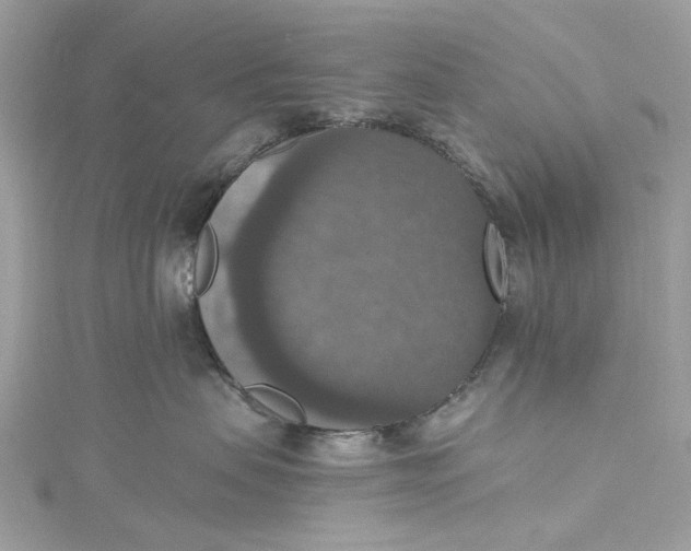X0000115400479200911171521
