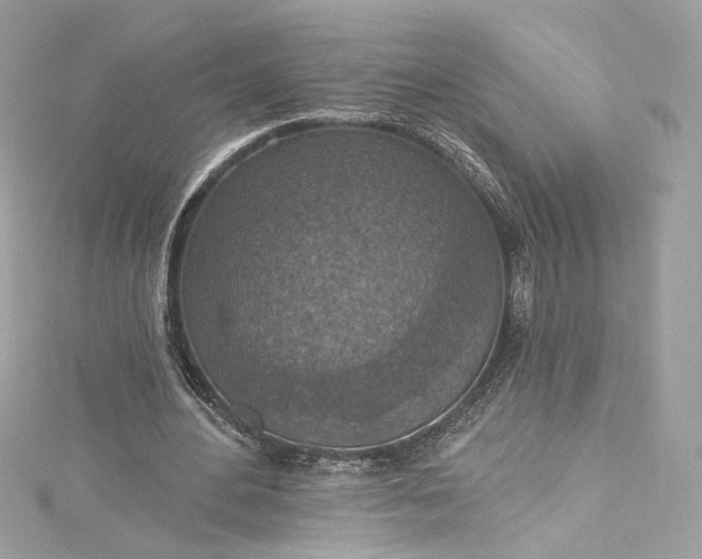 X0000115400484200911171521
