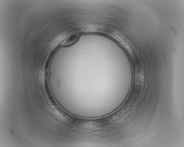 X0000115400485200911171521