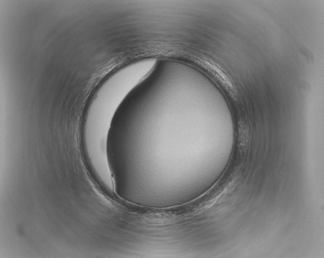 X0000115400489200911171521