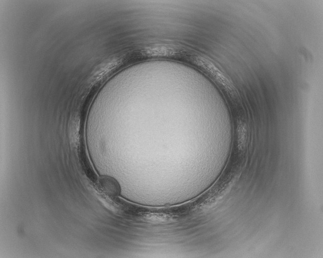 X0000115400490200911171521
