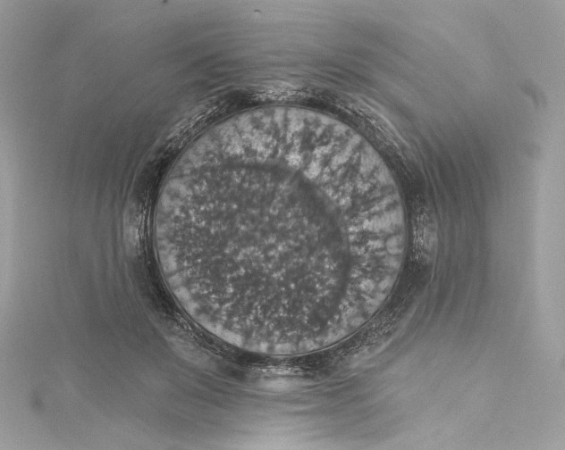 X0000115400503200911171520