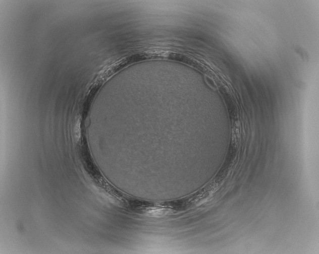 X0000115400504200911171520