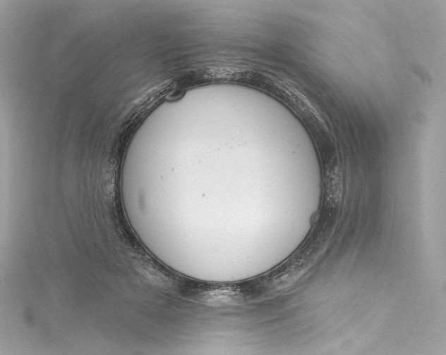 X0000115400505200911171520