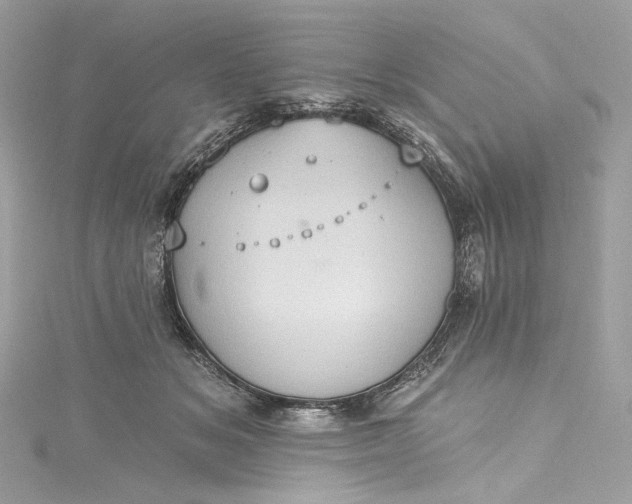 X0000115400509200911171520